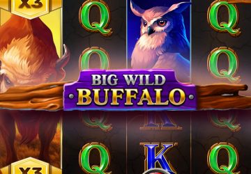 Игра Big Wild Buffalo в Magnet Casino